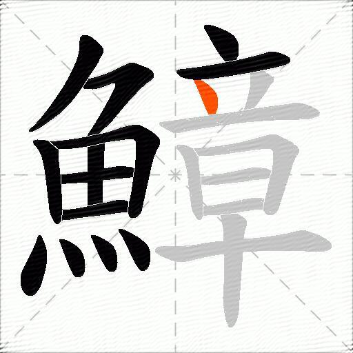 鱆