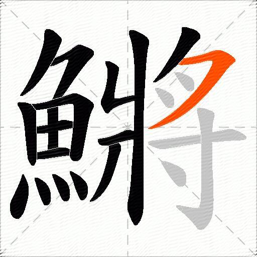 鱂