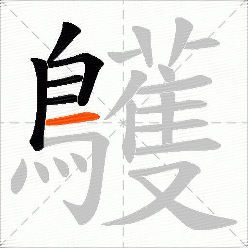 鸌