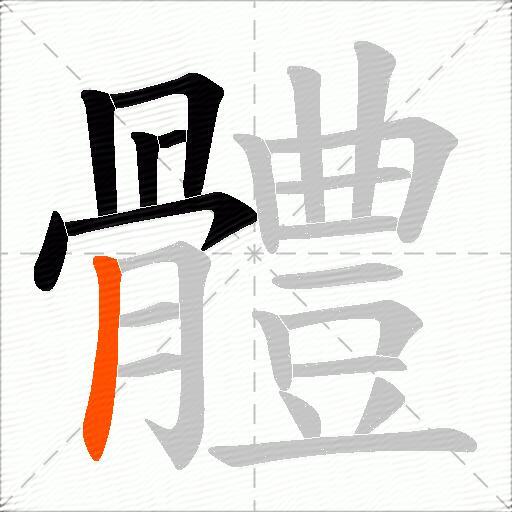 體