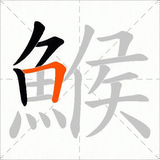 鯸
