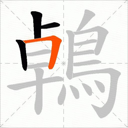 鵫