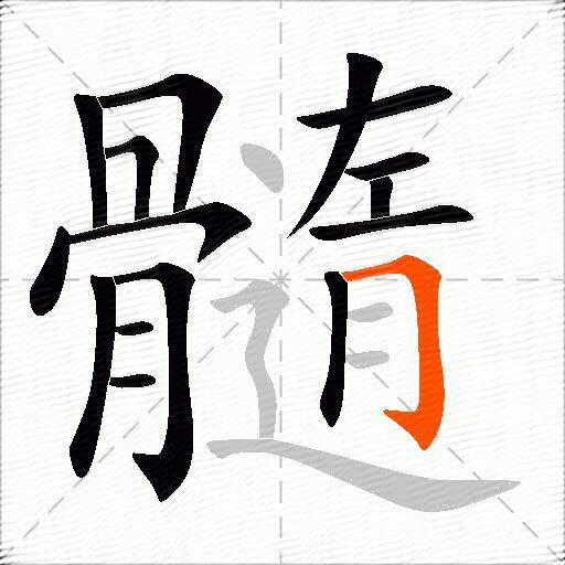 髓