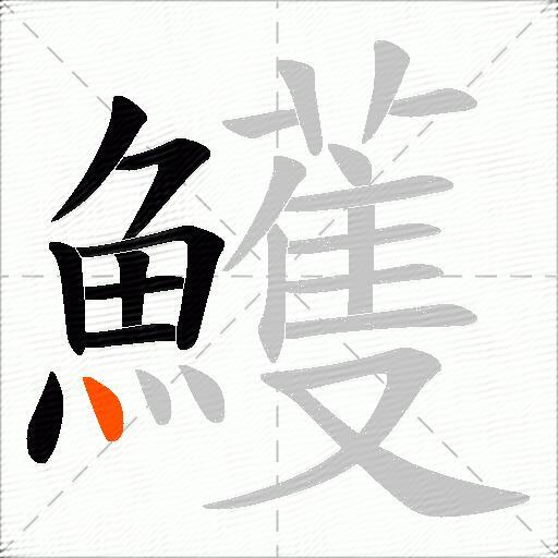 鱯