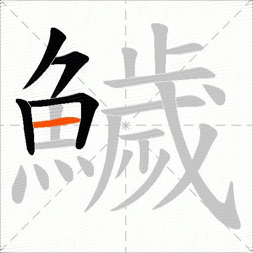 鱥