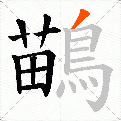 鶓