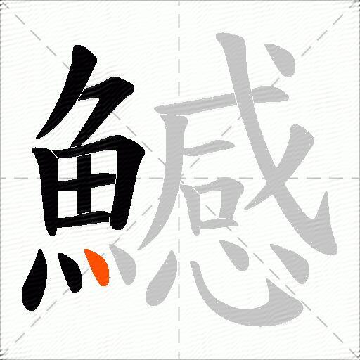 鱤