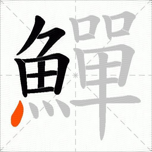 鱓