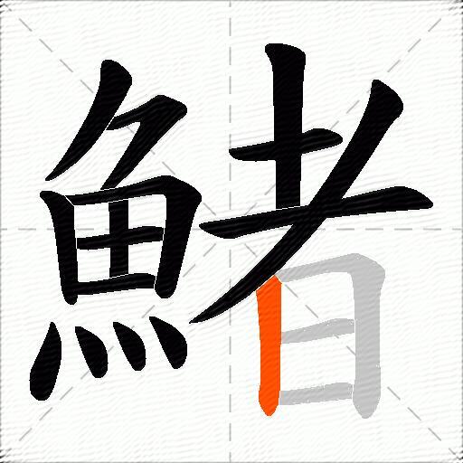 鯺