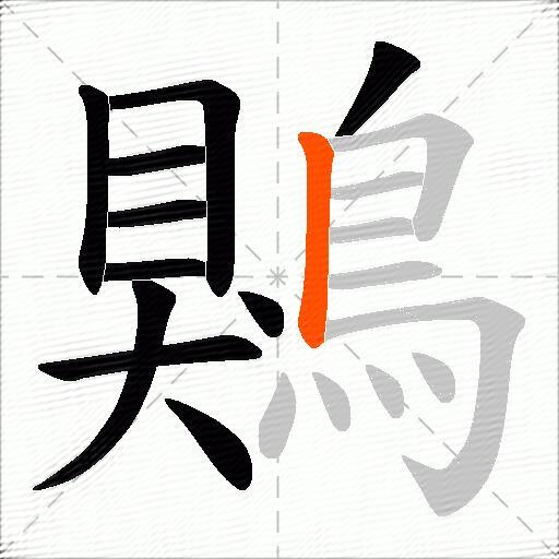 鶪