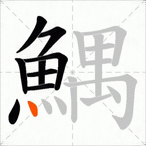 鰅