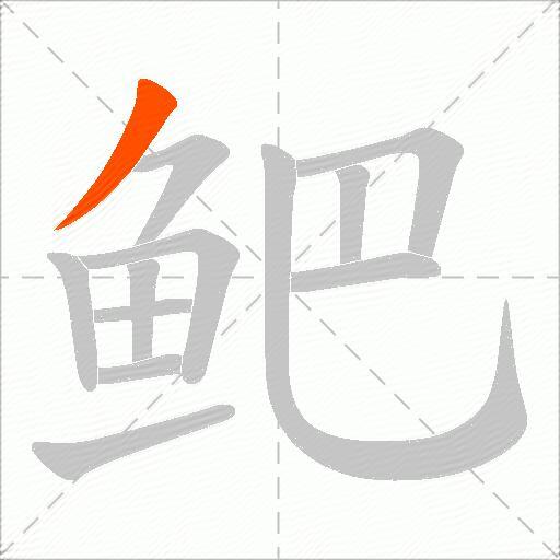 鲃