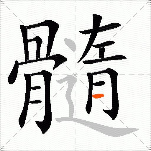 髓