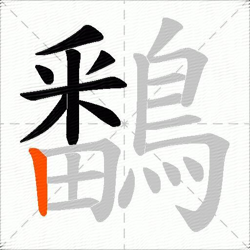 鷭