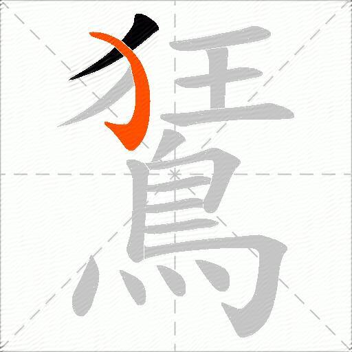 鵟