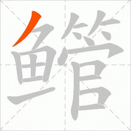 鳤