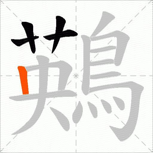鶧