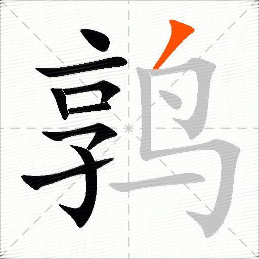 鹑