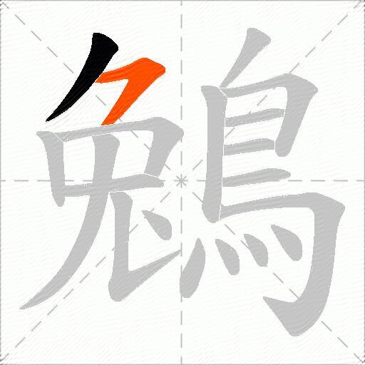 鵵