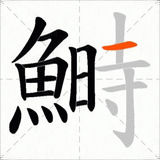 鰣