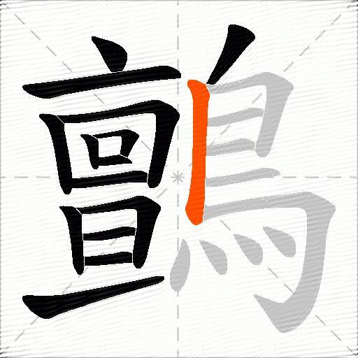 鸇