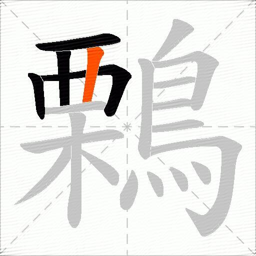 鷅