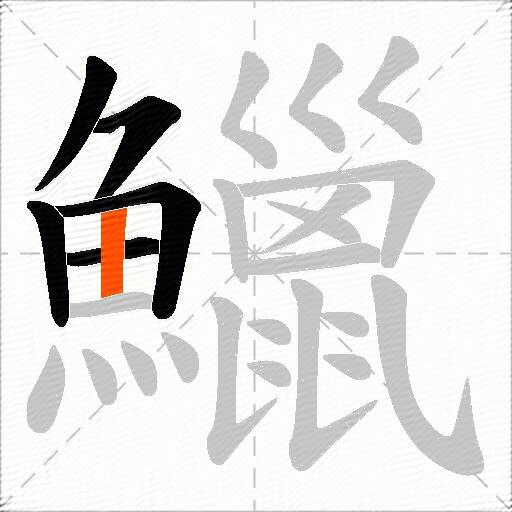 鱲