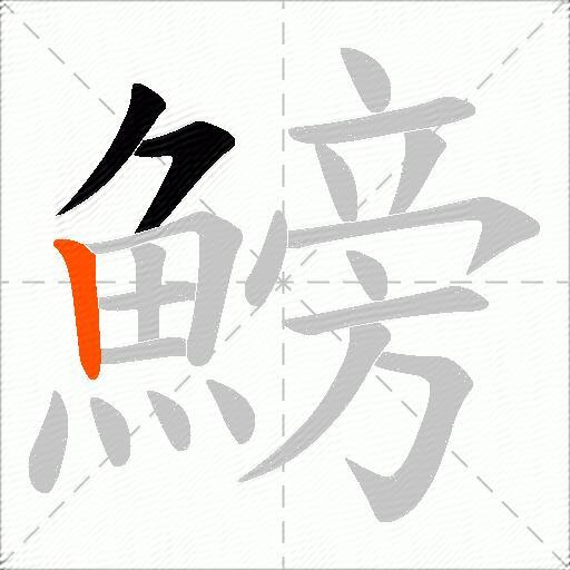 鰟