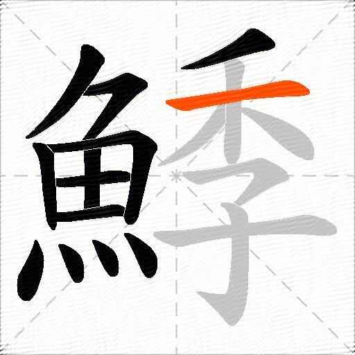 鯚