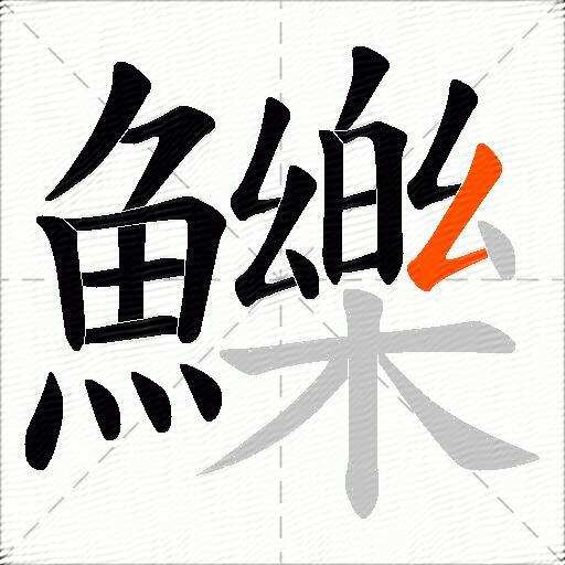 鱳