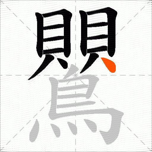 鸎