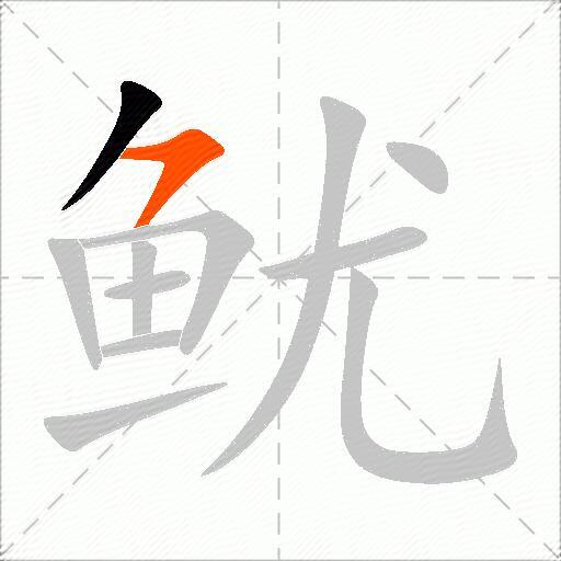 鱿