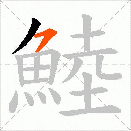 鯥