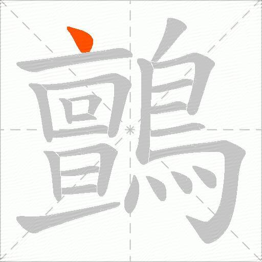 鸇