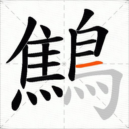 鷦