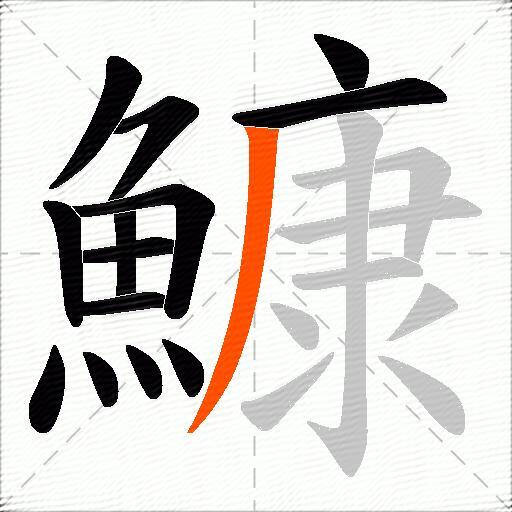 鱇