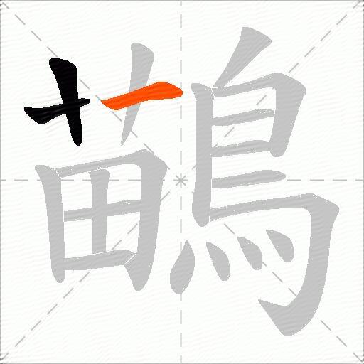 鶓