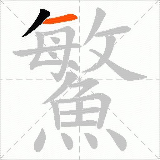 鰵