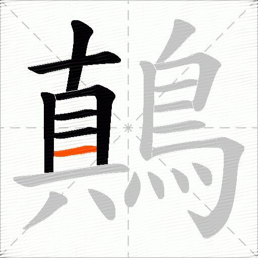 鷏