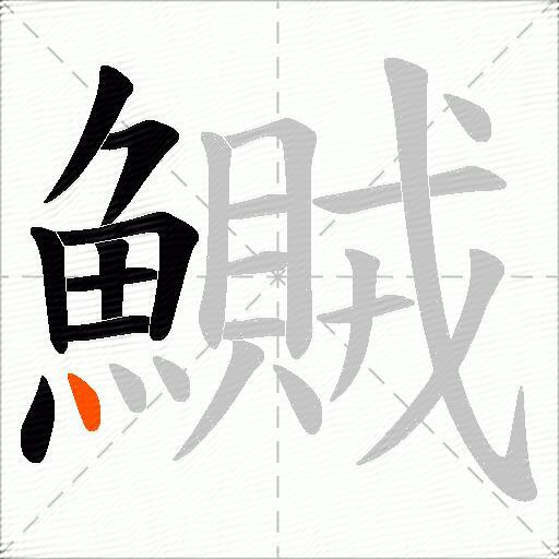 鱡