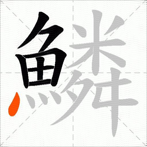 鱗