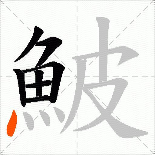 鮍
