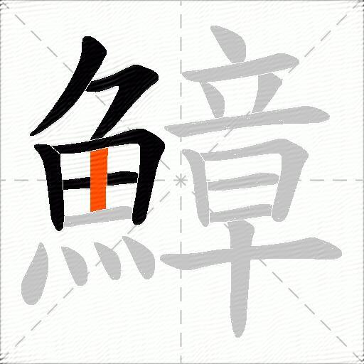 鱆