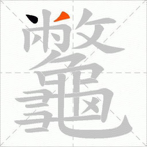 龞