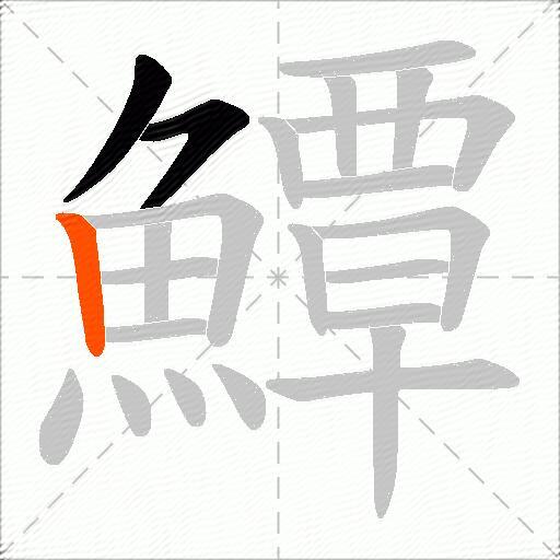 鱏