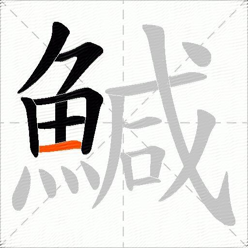 鰔