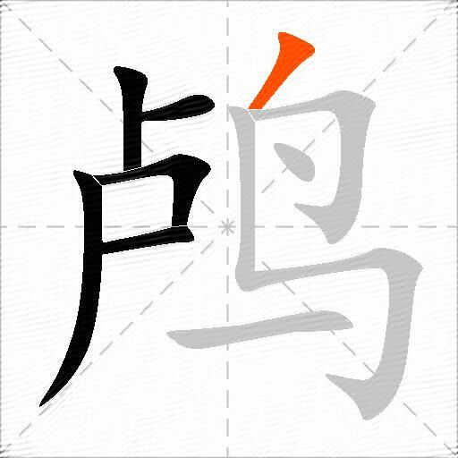 鸬