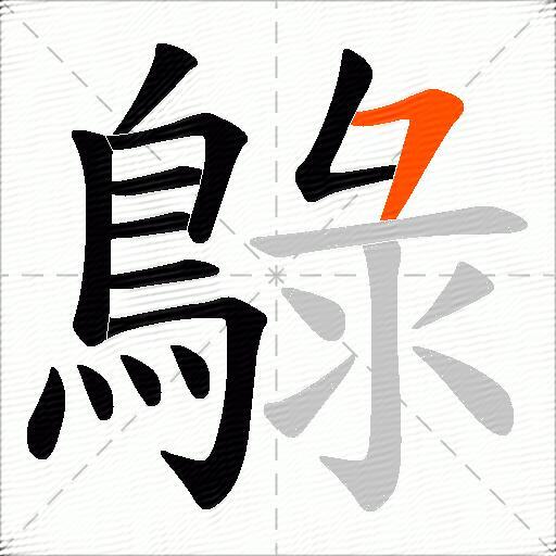 鵦