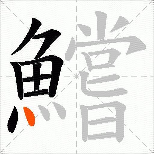 鱨