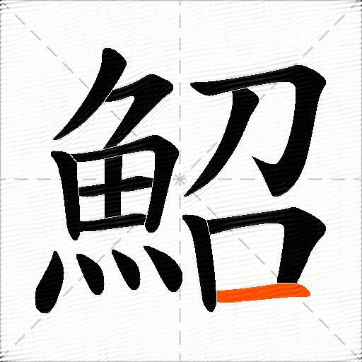 鮉